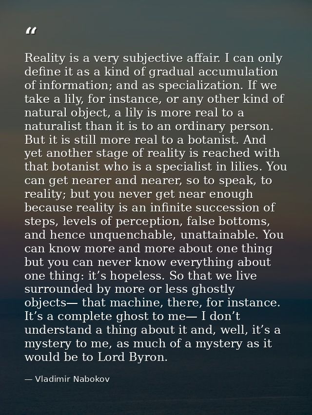Reality is a very subjective affair. I can only define it as a kind of gradual accumulation of information; and as speci — Vladimir Nabokov
