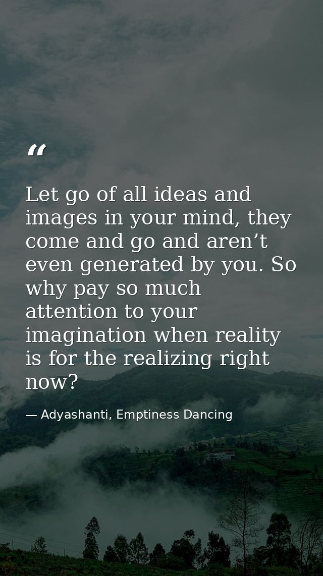 Let go of all ideas and images in your mind, they come and go and aren’t even generated by you. So why pay so much atten — Adyashanti, Emptiness Dancing