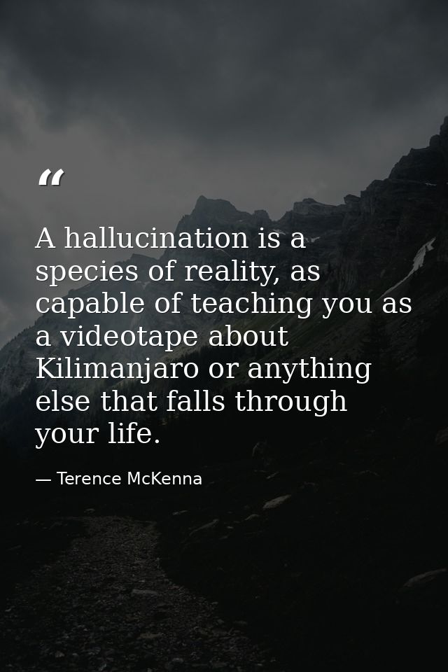 A hallucination is a species of reality, as capable of teaching you as a videotape about Kilimanjaro or anything else th — Terence McKenna