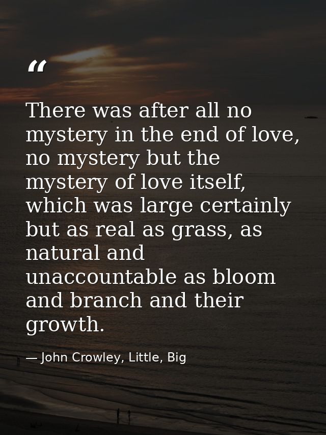 There was after all no mystery in the end of love, no mystery but the mystery of love itself, which was large certainly  — John Crowley, Little, Big