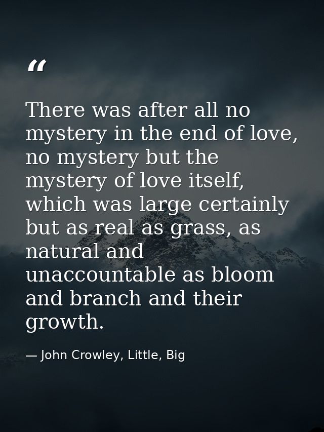 There was after all no mystery in the end of love, no mystery but the mystery of love itself, which was large certainly  — John Crowley, Little, Big