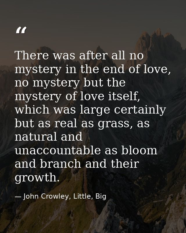 There was after all no mystery in the end of love, no mystery but the mystery of love itself, which was large certainly  — John Crowley, Little, Big