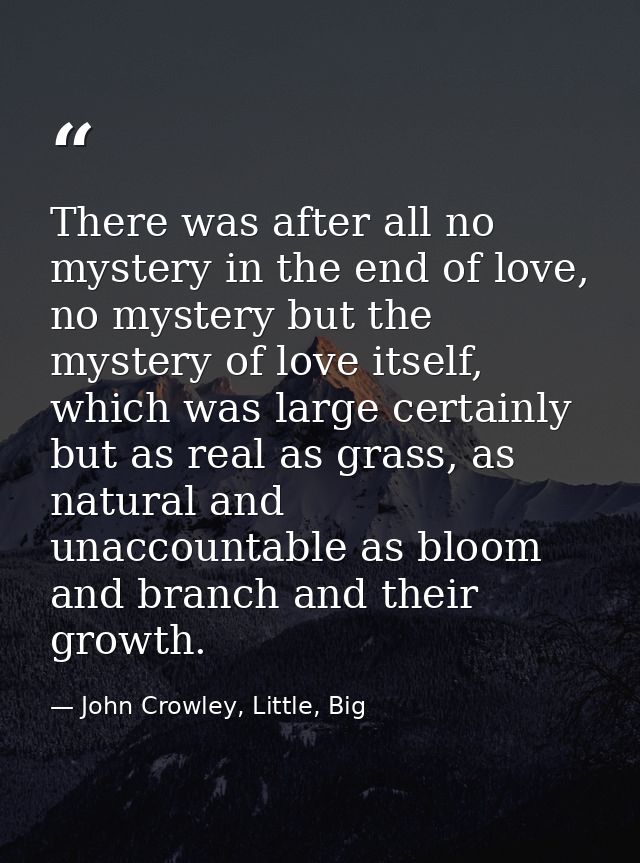 There was after all no mystery in the end of love, no mystery but the mystery of love itself, which was large certainly  — John Crowley, Little, Big
