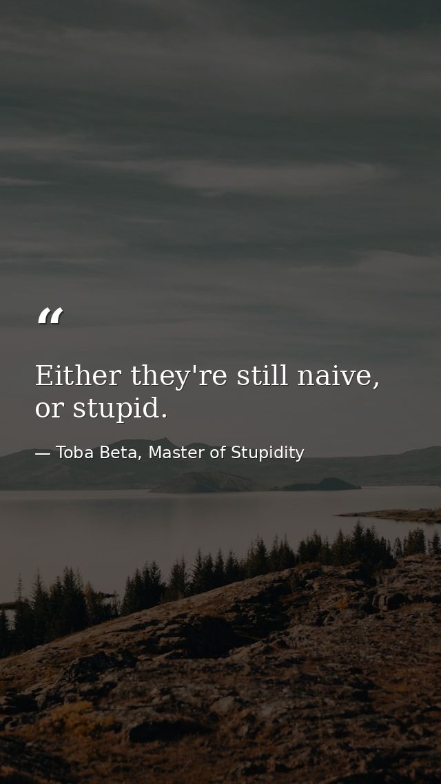 Either they're still naive, or stupid. — Toba Beta, Master of Stupidity