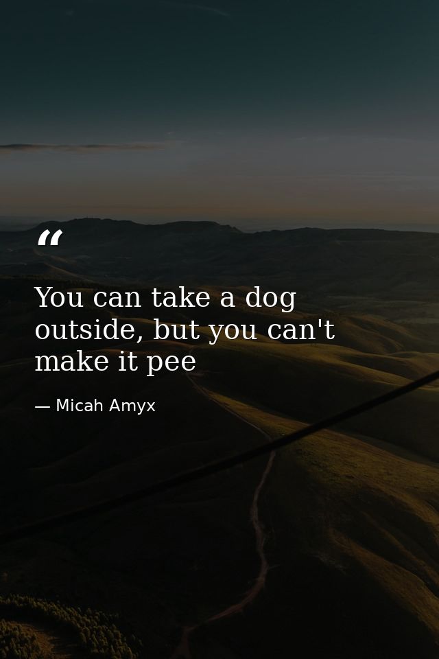 You can take a dog outside, but you can't make it pee — Micah Amyx