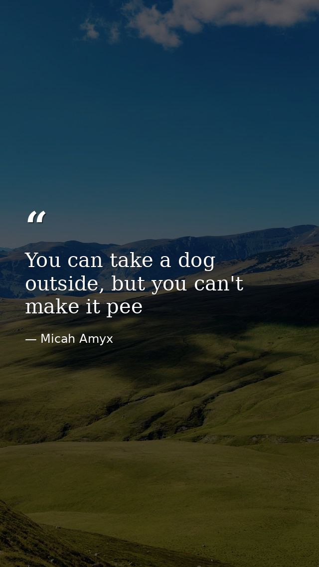 You can take a dog outside, but you can't make it pee — Micah Amyx