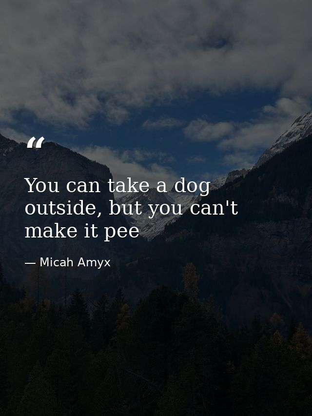 You can take a dog outside, but you can't make it pee — Micah Amyx