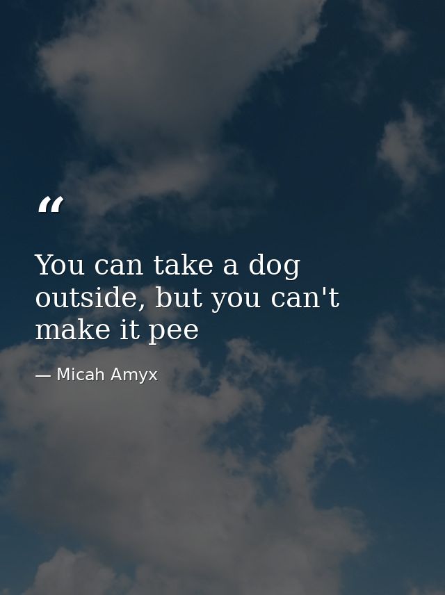 You can take a dog outside, but you can't make it pee — Micah Amyx