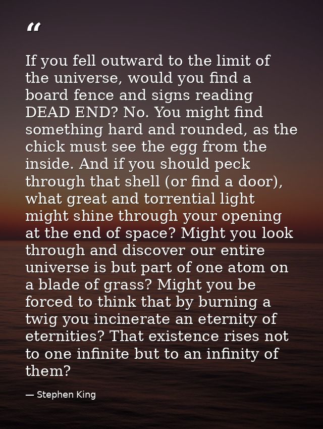 If you fell outward to the limit of the universe, would you find a board fence and signs reading DEAD END? No. You might — Stephen King