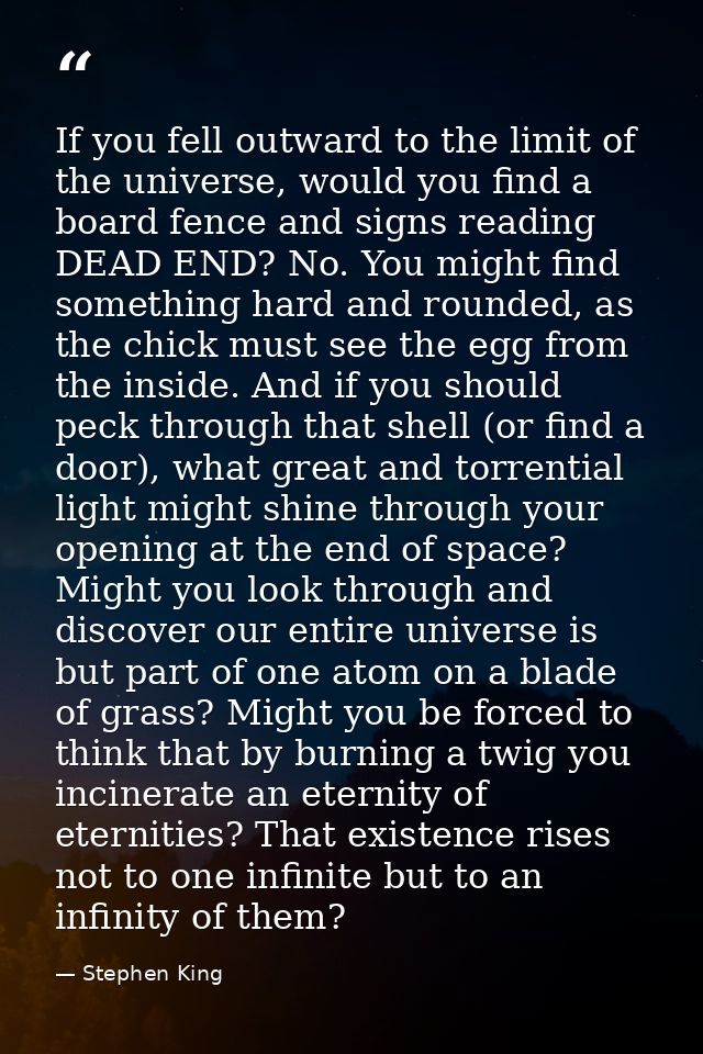 If you fell outward to the limit of the universe, would you find a board fence and signs reading DEAD END? No. You might — Stephen King