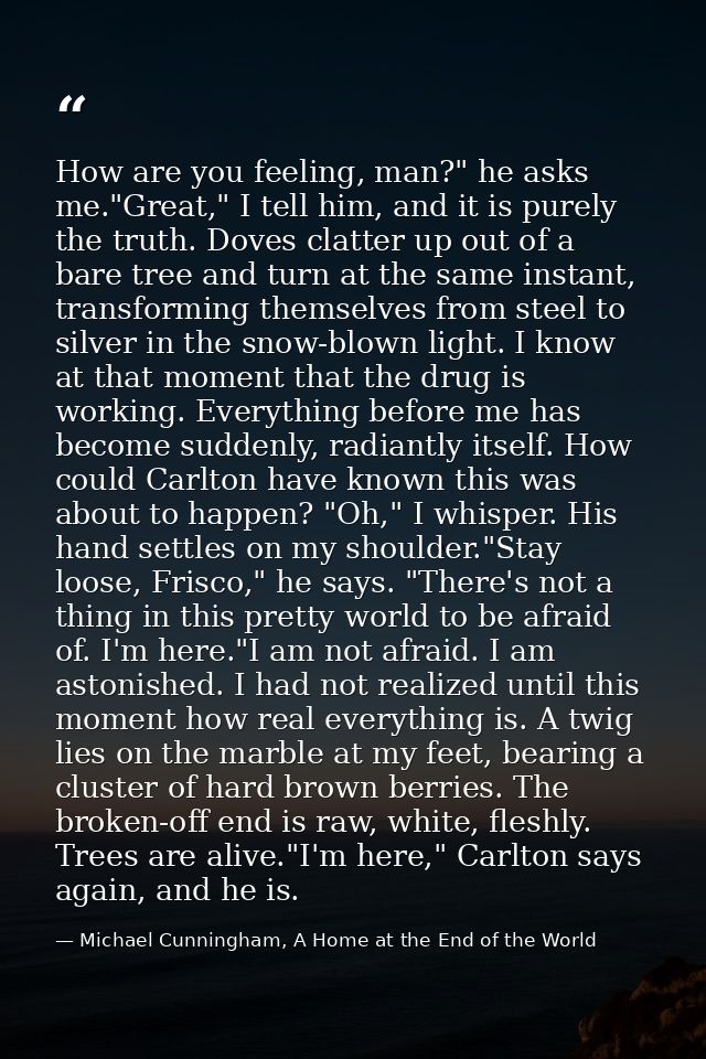 How are you feeling, man?" he asks me."Great," I tell him, and it is purely the truth. Doves clatter up out of a bare tr — Michael Cunningham, A Home at the End of the World