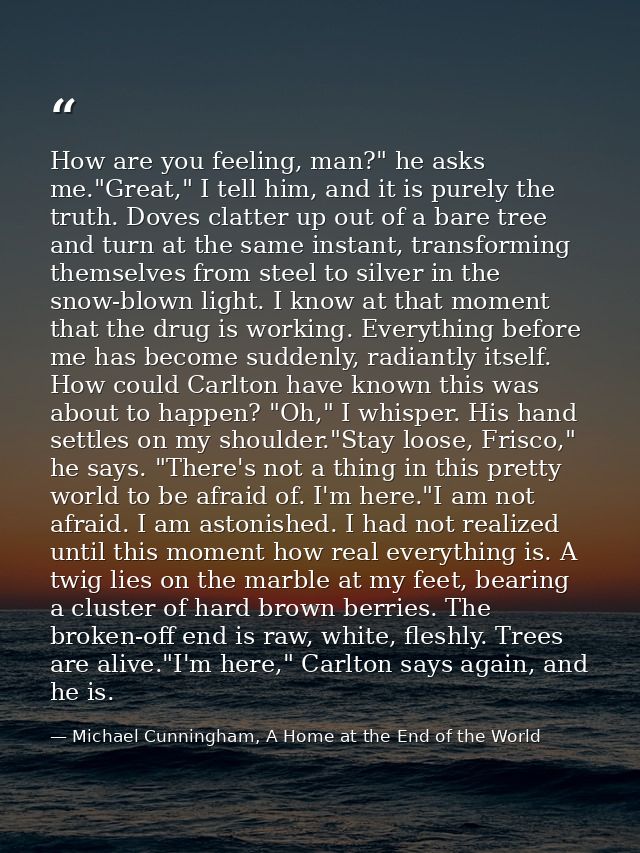 How are you feeling, man?" he asks me."Great," I tell him, and it is purely the truth. Doves clatter up out of a bare tr — Michael Cunningham, A Home at the End of the World