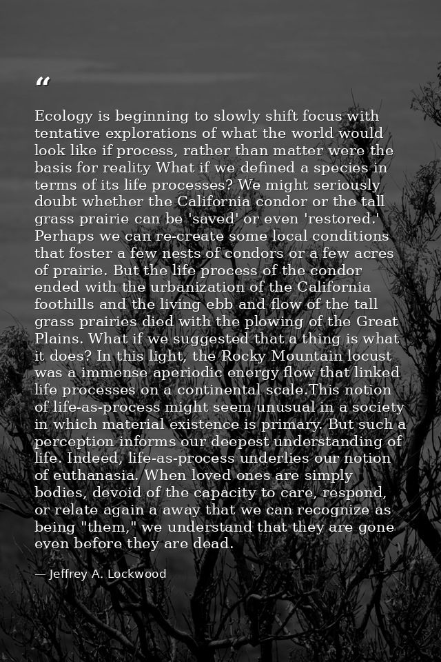 Ecology is beginning to slowly shift focus with tentative explorations of what the world would look like if process, rat — Jeffrey A. Lockwood