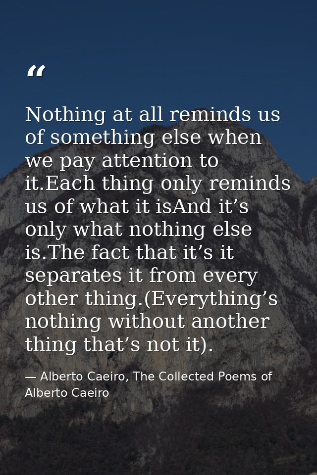Nothing at all reminds us of something else when we pay attention to it.Each thing only reminds us of what it isAnd it’s — Alberto Caeiro, The Collected Poems of Alberto Caeiro