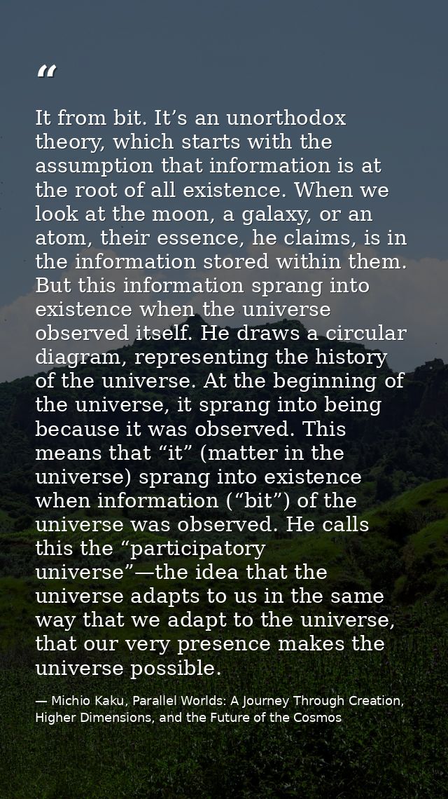 It from bit. It’s an unorthodox theory, which starts with the assumption that information is at the root of all existenc — Michio Kaku, Parallel Worlds: A Journey Through Creation, Higher Dimensions, and the Future of the Cosmos