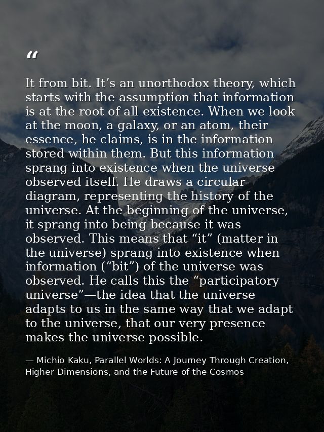 It from bit. It’s an unorthodox theory, which starts with the assumption that information is at the root of all existenc — Michio Kaku, Parallel Worlds: A Journey Through Creation, Higher Dimensions, and the Future of the Cosmos