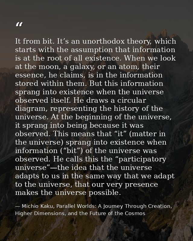 It from bit. It’s an unorthodox theory, which starts with the assumption that information is at the root of all existenc — Michio Kaku, Parallel Worlds: A Journey Through Creation, Higher Dimensions, and the Future of the Cosmos