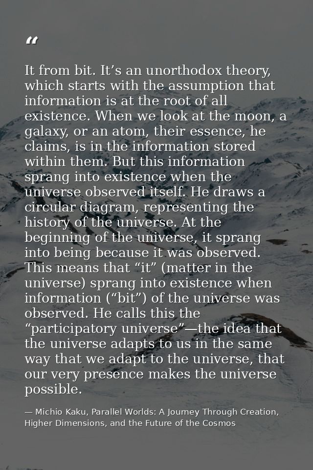 It from bit. It’s an unorthodox theory, which starts with the assumption that information is at the root of all existenc — Michio Kaku, Parallel Worlds: A Journey Through Creation, Higher Dimensions, and the Future of the Cosmos