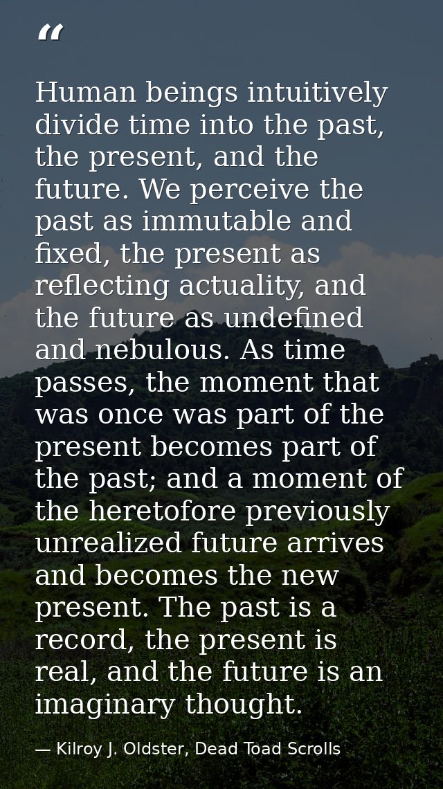 Human beings intuitively divide time into the past, the present, and the future. We perceive the past as immutable and f — Kilroy J. Oldster, Dead Toad Scrolls