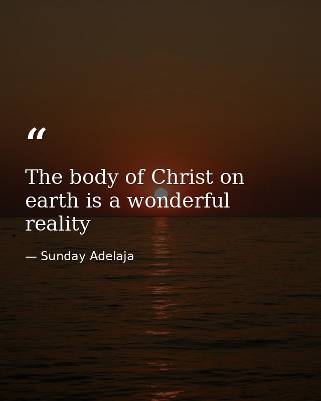 The body of Christ on earth is a wonderful reality — Sunday Adelaja