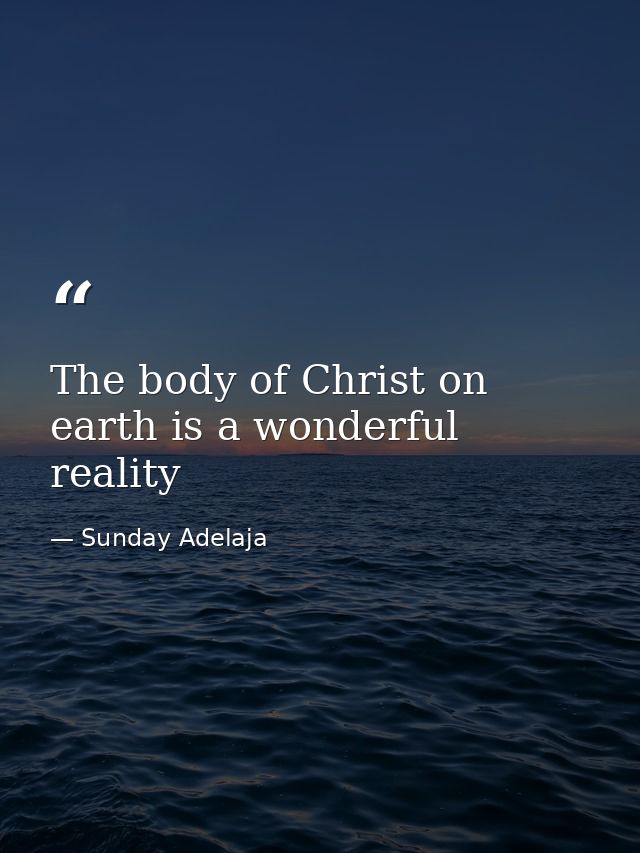 The body of Christ on earth is a wonderful reality — Sunday Adelaja