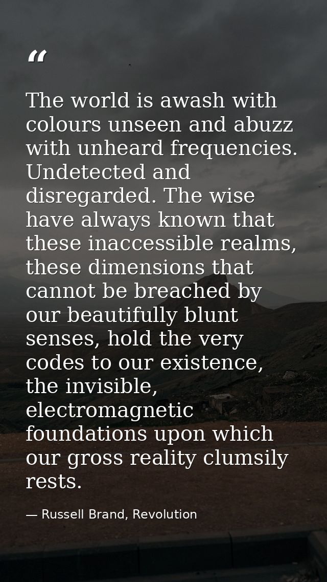 The world is awash with colours unseen and abuzz with unheard frequencies. Undetected and disregarded. The wise have alw — Russell Brand, Revolution