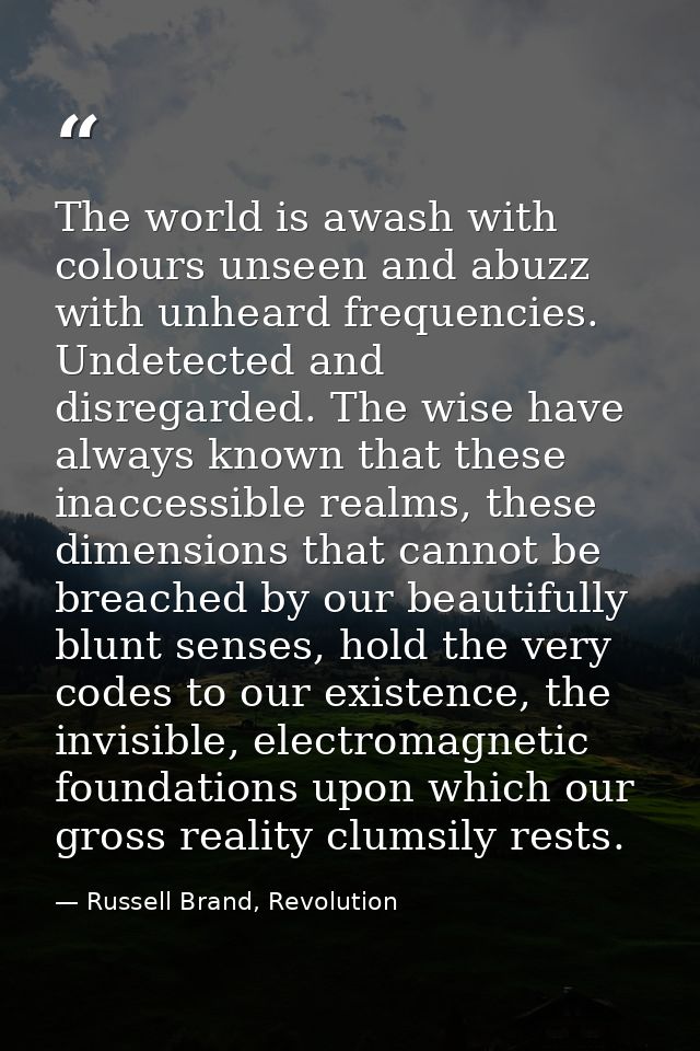 The world is awash with colours unseen and abuzz with unheard frequencies. Undetected and disregarded. The wise have alw — Russell Brand, Revolution