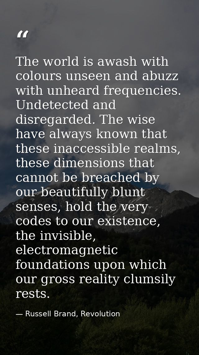 The world is awash with colours unseen and abuzz with unheard frequencies. Undetected and disregarded. The wise have alw — Russell Brand, Revolution