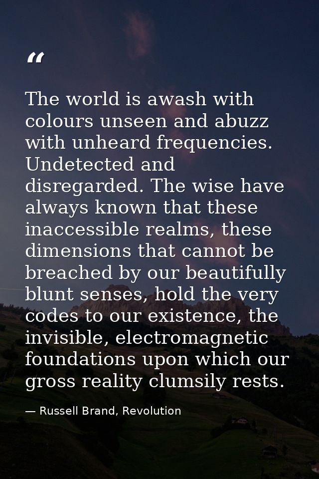 The world is awash with colours unseen and abuzz with unheard frequencies. Undetected and disregarded. The wise have alw — Russell Brand, Revolution