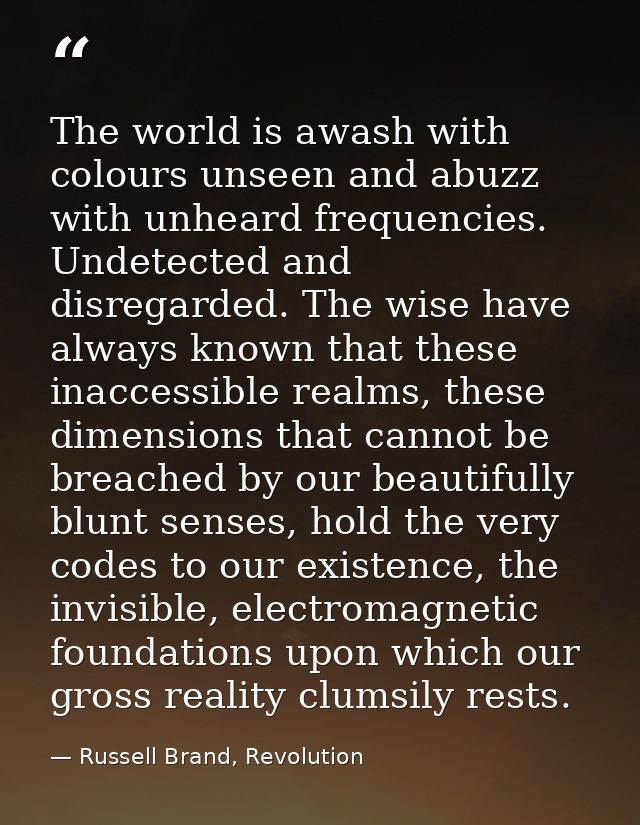 The world is awash with colours unseen and abuzz with unheard frequencies. Undetected and disregarded. The wise have alw — Russell Brand, Revolution