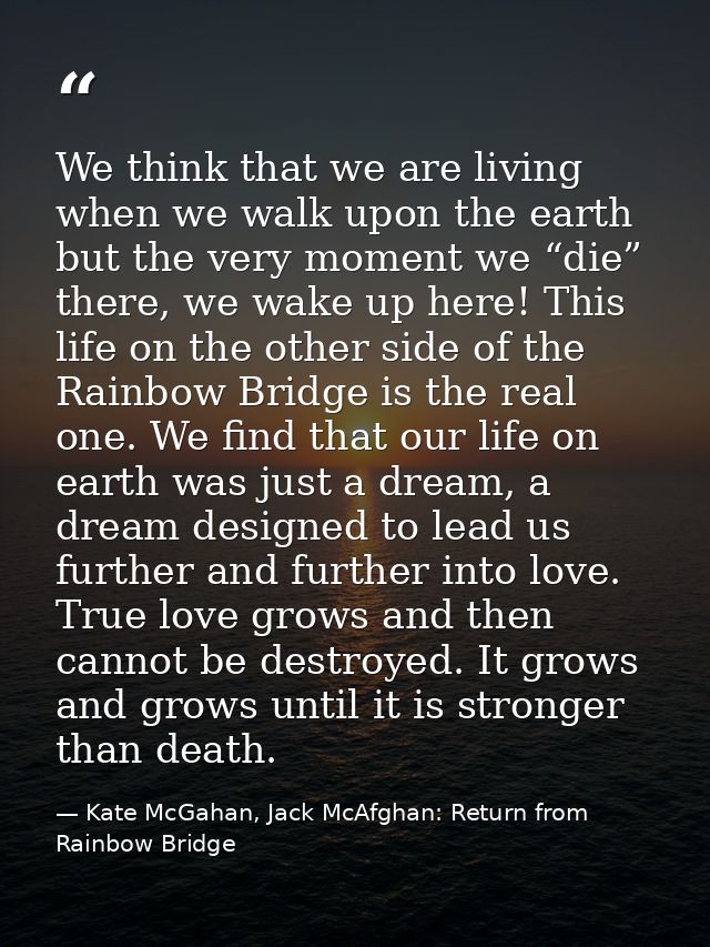 We think that we are living when we walk upon the earth but the very moment we “die” there, we wake up here! This life o — Kate McGahan, Jack McAfghan: Return from Rainbow Bridge