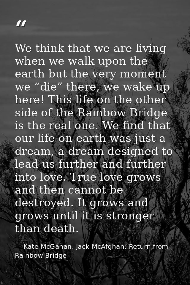 We think that we are living when we walk upon the earth but the very moment we “die” there, we wake up here! This life o — Kate McGahan, Jack McAfghan: Return from Rainbow Bridge