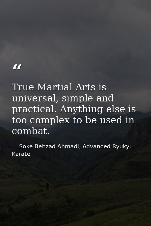 True Martial Arts is universal, simple and practical. Anything else is too complex to be used in combat. — Soke Behzad Ahmadi, Advanced Ryukyu Karate