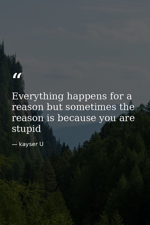 Everything happens for a reason but sometimes the reason is because you are stupid — kayser U