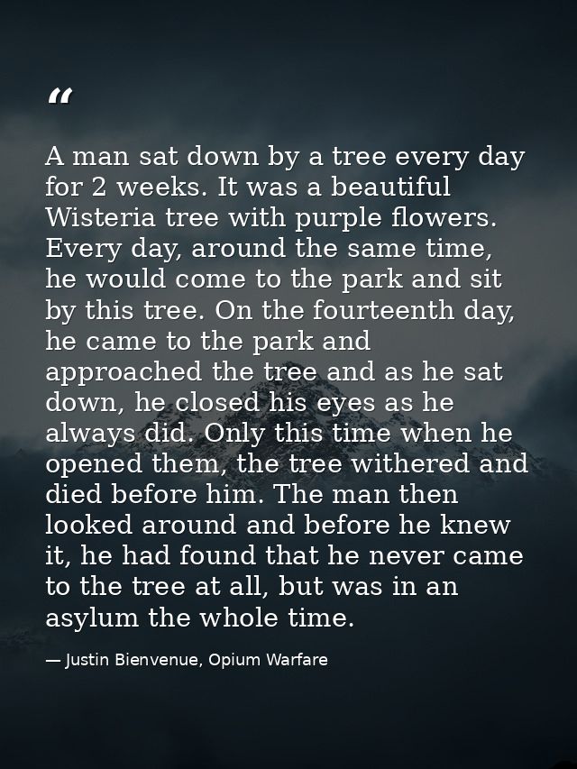 A man sat down by a tree every day for 2 weeks. It was a beautiful Wisteria tree with purple flowers. Every day, around  — Justin Bienvenue, Opium Warfare