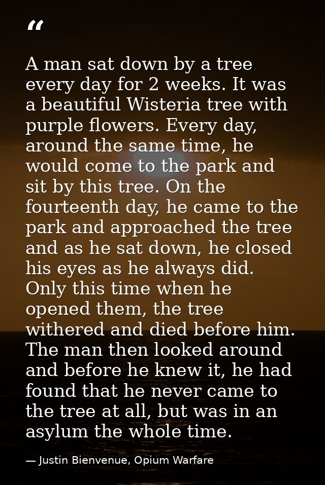 A man sat down by a tree every day for 2 weeks. It was a beautiful Wisteria tree with purple flowers. Every day, around  — Justin Bienvenue, Opium Warfare