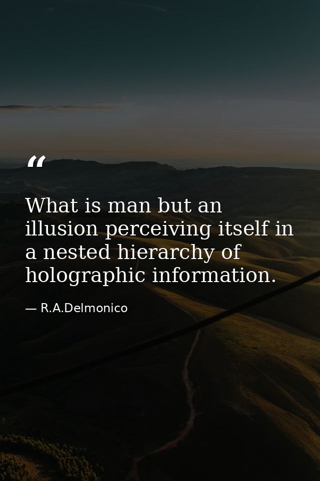 What is man but an illusion perceiving itself in a nested hierarchy of holographic information. — R.A.Delmonico