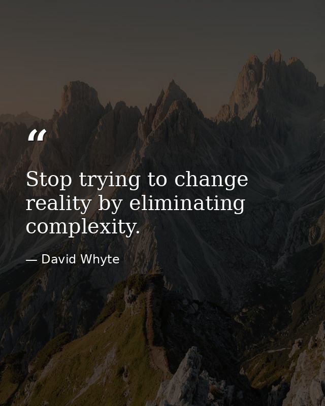 Stop trying to change reality by eliminating complexity. — David Whyte