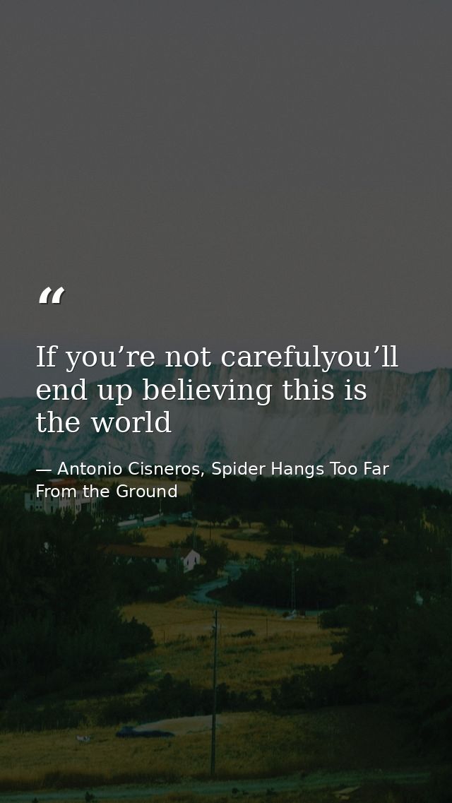 If you’re not carefulyou’ll end up believing this is the world — Antonio Cisneros, Spider Hangs Too Far From the Ground