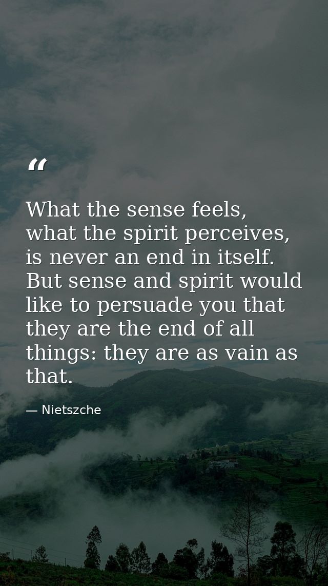 What the sense feels, what the spirit perceives, is never an end in itself. But sense and spirit would like to persuade  — Nietszche