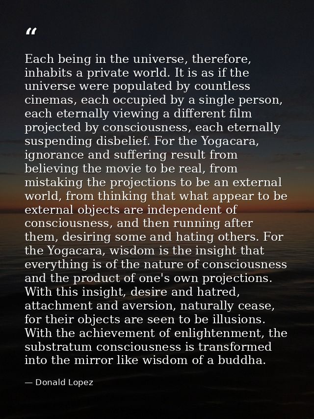 Each being in the universe, therefore, inhabits a private world. It is as if the universe were populated by countless ci — Donald Lopez