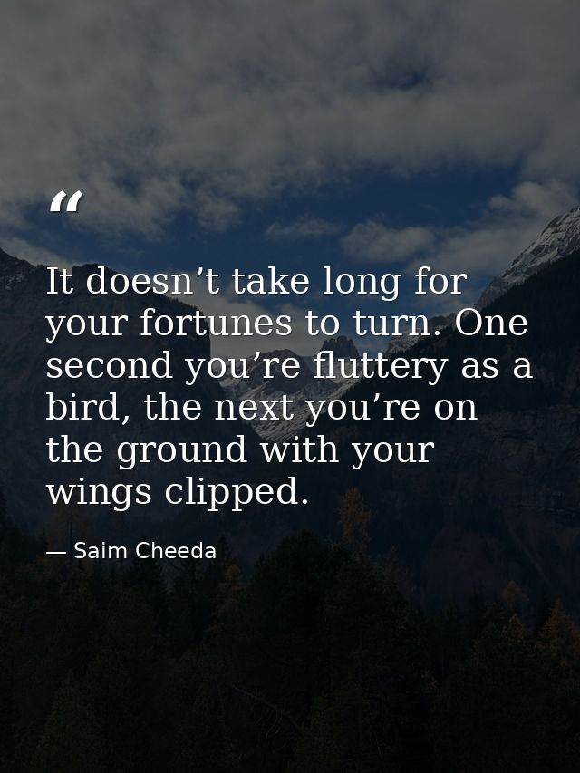 It doesn’t take long for your fortunes to turn. One second you’re fluttery as a bird, the next you’re on the ground with — Saim Cheeda