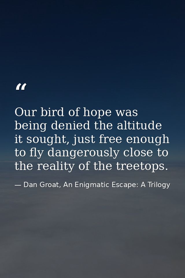 Our bird of hope was being denied the altitude it sought, just free enough to fly dangerously close to the reality of th — Dan Groat, An Enigmatic Escape: A Trilogy