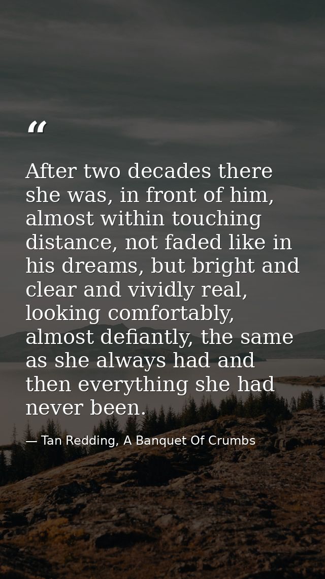After two decades there she was, in front of him, almost within touching distance, not faded like in his dreams, but bri — Tan Redding, A Banquet Of Crumbs