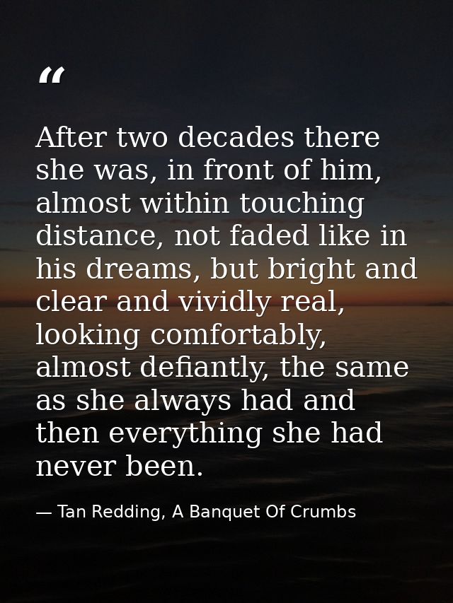 After two decades there she was, in front of him, almost within touching distance, not faded like in his dreams, but bri — Tan Redding, A Banquet Of Crumbs