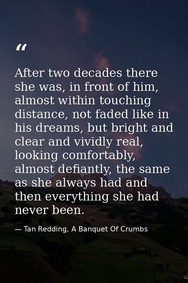 After two decades there she was, in front of him, almost within touching distance, not faded like in his dreams, but bri — Tan Redding, A Banquet Of Crumbs