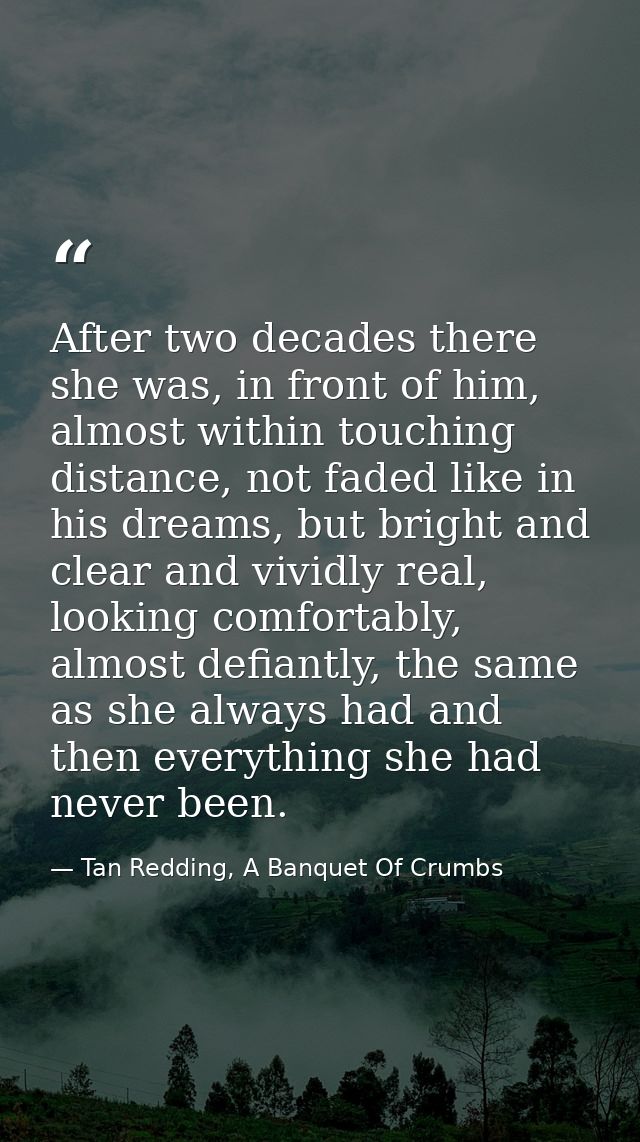 After two decades there she was, in front of him, almost within touching distance, not faded like in his dreams, but bri — Tan Redding, A Banquet Of Crumbs