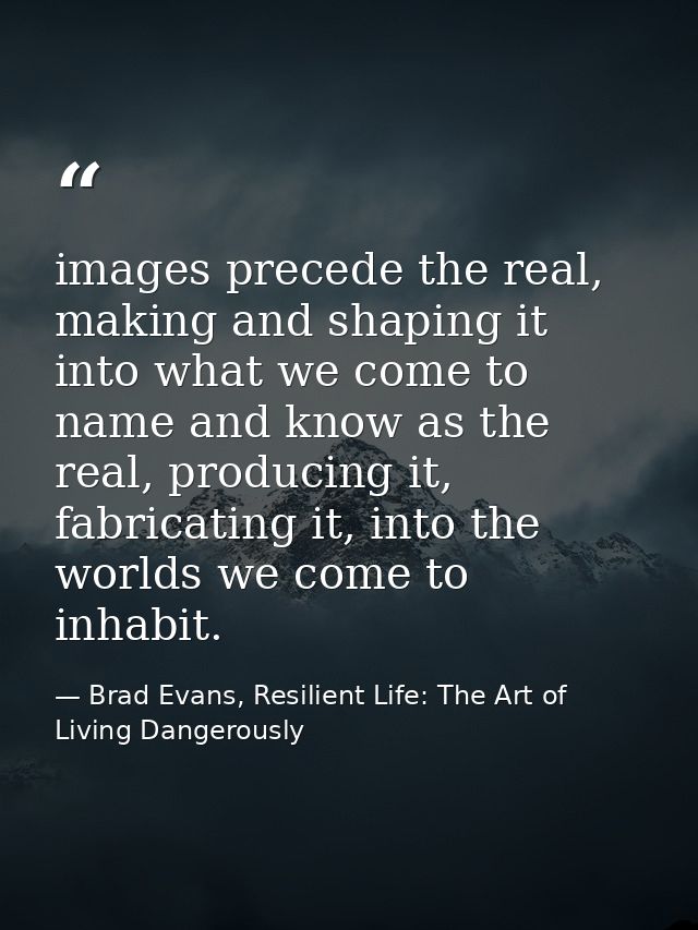images precede the real, making and shaping it into what we come to name and know as the real, producing it, fabricating — Brad Evans, Resilient Life: The Art of Living Dangerously