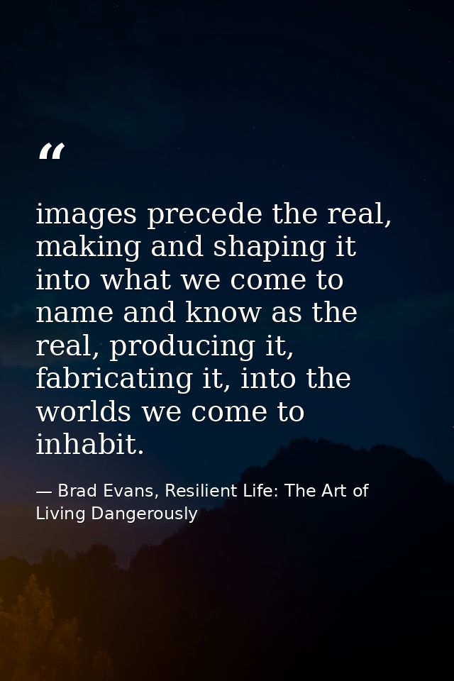 images precede the real, making and shaping it into what we come to name and know as the real, producing it, fabricating — Brad Evans, Resilient Life: The Art of Living Dangerously
