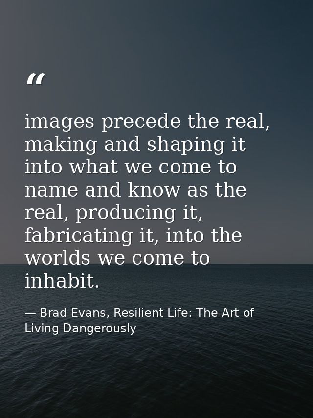 images precede the real, making and shaping it into what we come to name and know as the real, producing it, fabricating — Brad Evans, Resilient Life: The Art of Living Dangerously